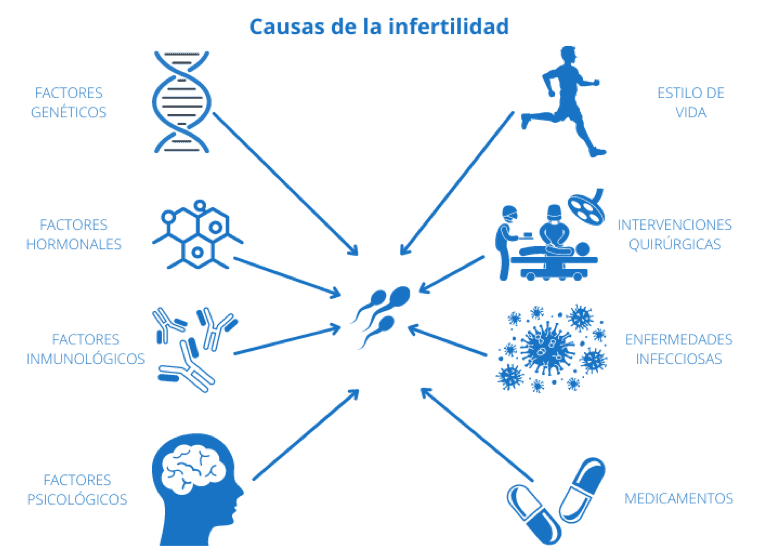 Urólogo - infertilidad